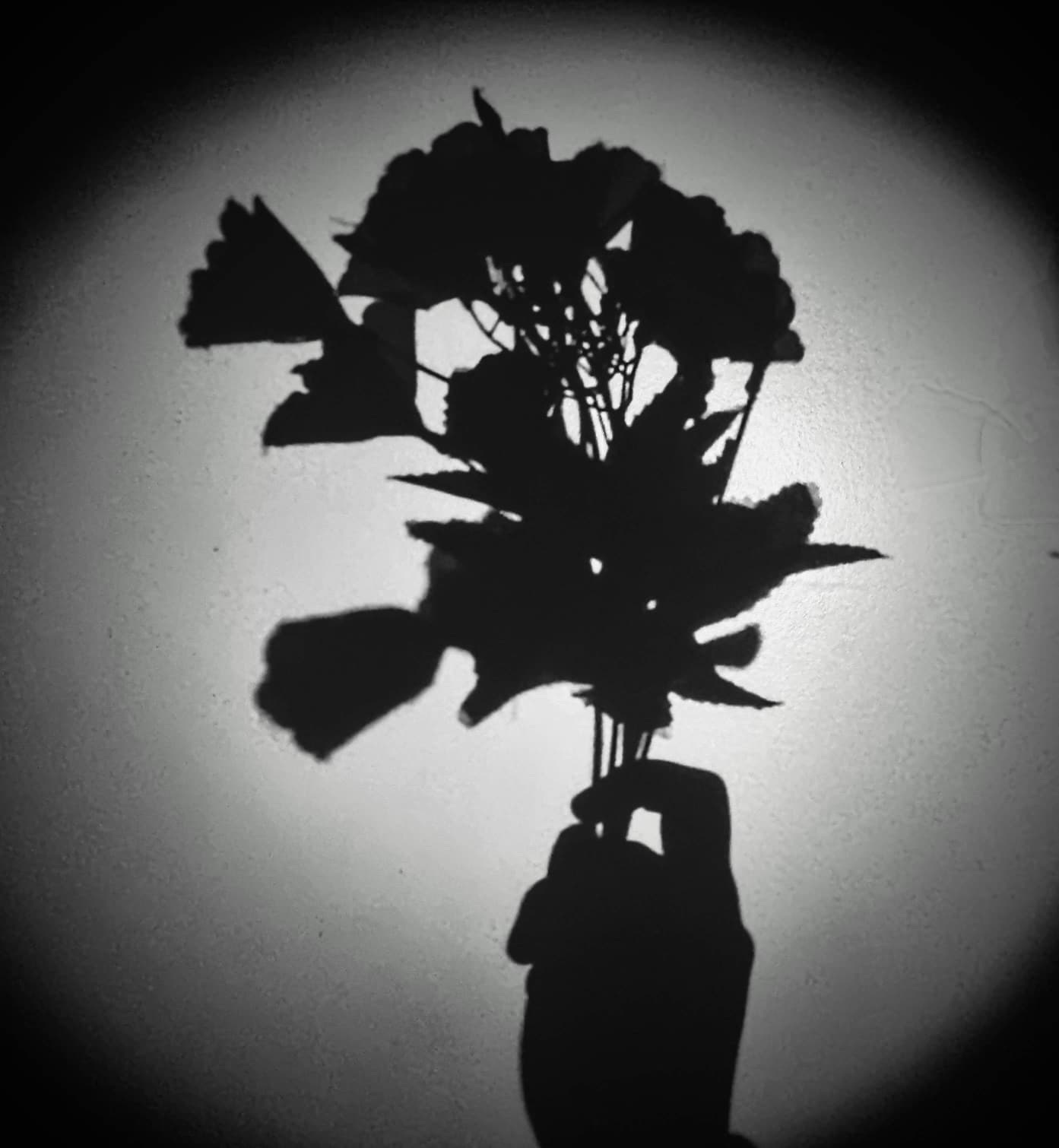 Shadow Bouquet