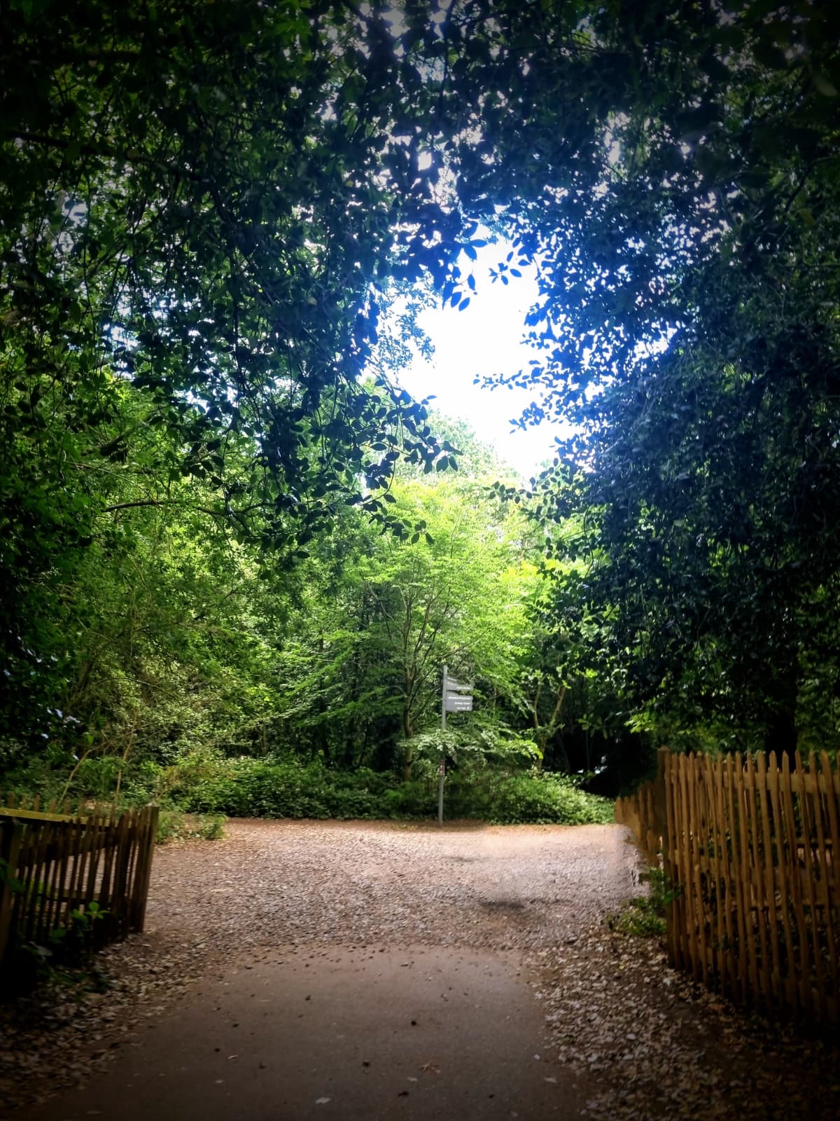 Where the Paths Meet