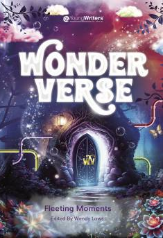 Cover of “Wonderverse – Fleeting Moments”